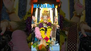 Ganpati pandal hopping part 2