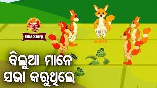 Bilua Mane Sabha Karuthile - ବିଲୁଆମାନେ ସଭା କରୁଥିଲେ | Odia Moral Story | Huke Hu TV