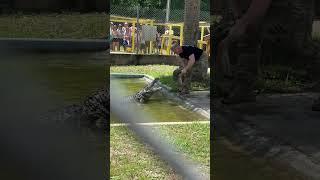 Ranger feeding alligator ￼