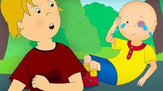 Caillou ve Zorba | Caillou | Türk Çocuk Çizgi Filmleri | WildBrain Çocuklar