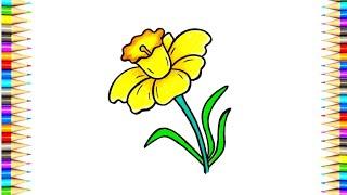 Daffodil Flower Drawing || How to Draw Daffodil Flower Step By Step || Easy Flowers Drawing..