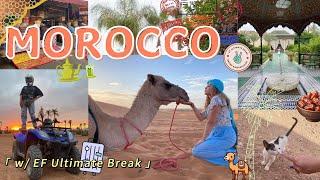 Morocco Travel Vlog w/ EF Ultimate Break!