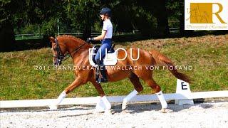 SOLD!!Dressurpferd  - 2011 Hannoveraner Wallach von Fiorano, Stm, ca. 1,71. S**-Dressur - Filou