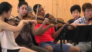 Perlman Music Program 12-30-15