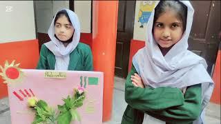 Photosynthesis Model | Science exhibition