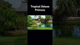 Tropical Deluxe Princess #art  #puntacana #instagood #foryou #youtube #shorts #love  #beautiful