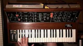 my Minimoog - a little Solo with Delay and Distortion