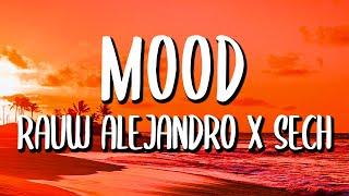 Rauw Alejandro x Sech - Mood (Letra/Lyrics)