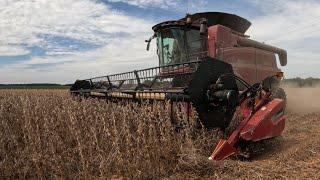 Chasing a Soybean Yield Record