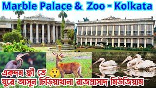 মার্বেল প্যালেস  Marble Palace With Museum & Zoo  Free Entry  Truly Beautiful Place in Kolkata