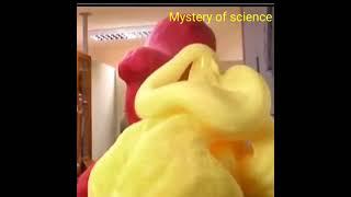 Elephant  toothpaste experiment #short #mystery of science #science experiment