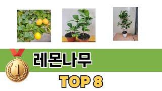 요즘 가장 인기있는 레몬나무 TOP 8 쇼핑정보