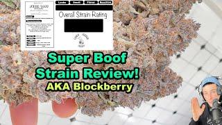 Super Boof / Blockberry Strain Review  Grown in Living Soil