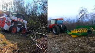 Breaking New Ground For Farming! Cutting Down Trees and Knocking Down Brush!