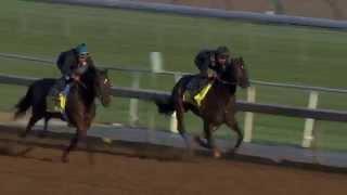 Fed Biz Works for the Breeders' Cup Dirt Mile (10.19.14)