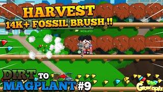 HARVESTING 14K+ TREES FOSSIL BRUSH !! Dirt to Magplant #9 | Growtopia