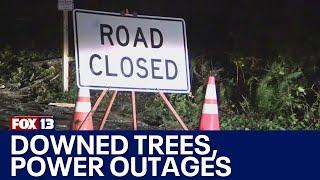 Power outages, downed trees reported across western WA | FOX 13 Seattle