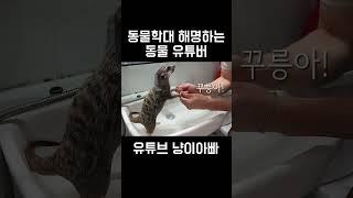 동물학대 해명하는 동물유튜버