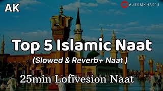 Ek Main Hi Nahi Un Par // Lofivesion New Naat 2024 ( Slowed & Reverb) @Ajeemkha914