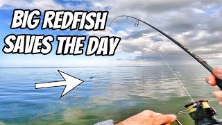 BIG SOUTH TEXAS REDFISH saves the day (Arroyo City Wade Fishing)