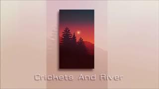 Crickets And River Sound