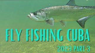 Fly Fishing Cuba - 2023 - Jardines De La Reina - Permit & Tarpon - Part 3