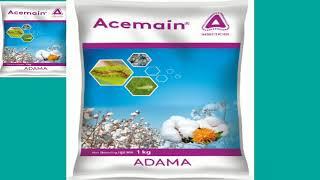 ACEMAIN ADAMA