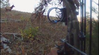 Self-Filmed Archery Elk Hunt