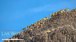 The Stanley Ranch | Oregon Ranches for Sale