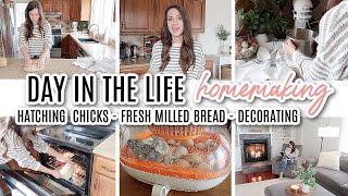 DAY IN THE LIFE OF A HOMESTEADING MOM OF 3 // HATCHING CHICKS //  FRESH MILLED BREAD // SPRING DECOR