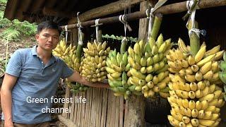 Ripe bananas are very expensive in the city. not enough to sell. Robert | Green forest life