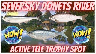 Russian Fishing 4 Active Tele Spot For Beginners