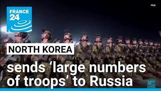 North Korea is sending ‘large numbers of troops’ to Russia, according to Seoul • FRANCE 24