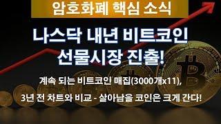 나스닥 내년 비트코인 선물시장 진출! 계속 되는 비트코인 매집(3000개x11), 3년 전 차트와 비교 - 살아남을 코인은 크게 간다!
