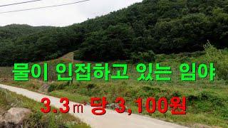 [1114][임야매매][땅매매] 3.3㎡당 3,100원으로 물이 인접하고 있는 임야입니다.