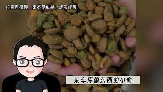 拒绝废话冷知识 有趣的知识又增长了