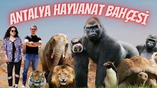 ANTALYA HAYVANAT BAHÇESİ 4K (A Day At Antalya Zoo ) NE YOKKİ