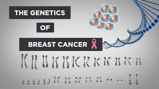 Evo-Ed: Breast Cancer Genetics (an overview)