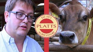 Platts Agriculture Limited-  Powder Bed