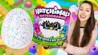 OTVARAM DZINOVSKO HATCHIMALS JAJE