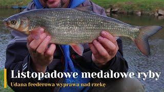 Listopadowe medalowe ryby. Udana feederowa wyprawa nad rzekę.