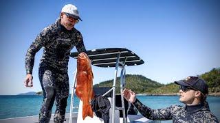 Mackay Coast Spearfishing Adventure | Mangrove Jack, Coral Trout & Fingermark