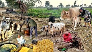 Old Amazing Cultural Village Life In Pakistan Punjab | Unseen Beautiful Village Life In Punjab