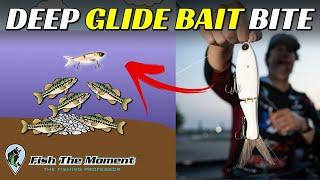 Feeding Frenzy 20ft Deep On Glide Baits! | Winter Glide Bait Fishing Tips and Tricks