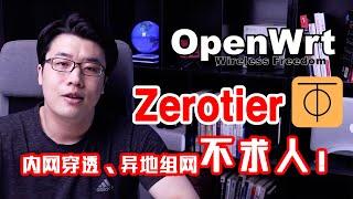 【韩风Talk】Openwrt的Zerotier插件玩法，异地组网不求人，大虚拟局域网走起！