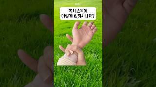 손목 두께만으로 나에 대해서 알 수 있다고?