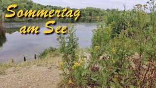 Sommertag am See, Wasser und Ufer. Entspannung mit beruhigender Musik.