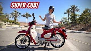 I bought a Honda Super Cub!