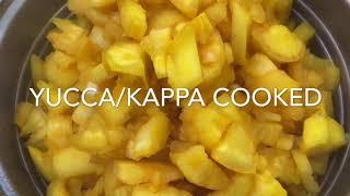 Cook With San Lee’s Kitchen: Yucca/Tapioca/Kappa Beef With Bone Biryani