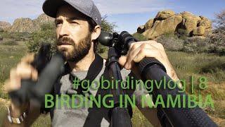 Birding in Namibia | #gobirdingvlog​ 8 | Birding Vlog